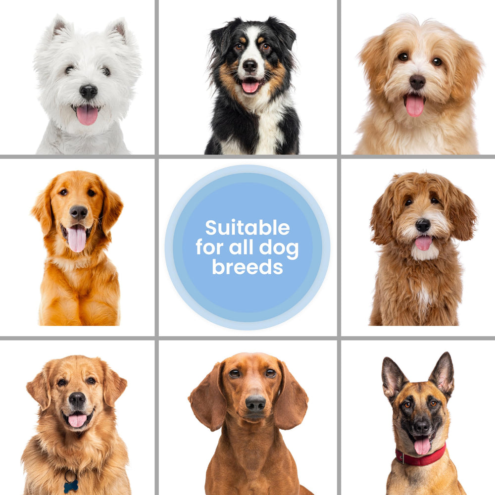 We Love Doodles hecho en USA, control de calidad y seguridad para tu mascota