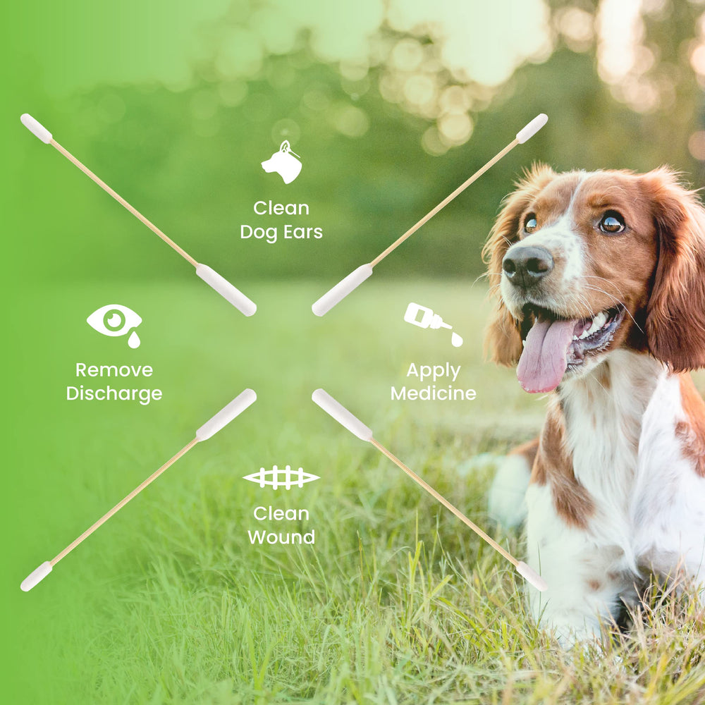 We Love Doodles: hisopos largos para oídos de perro, alcance cómodo