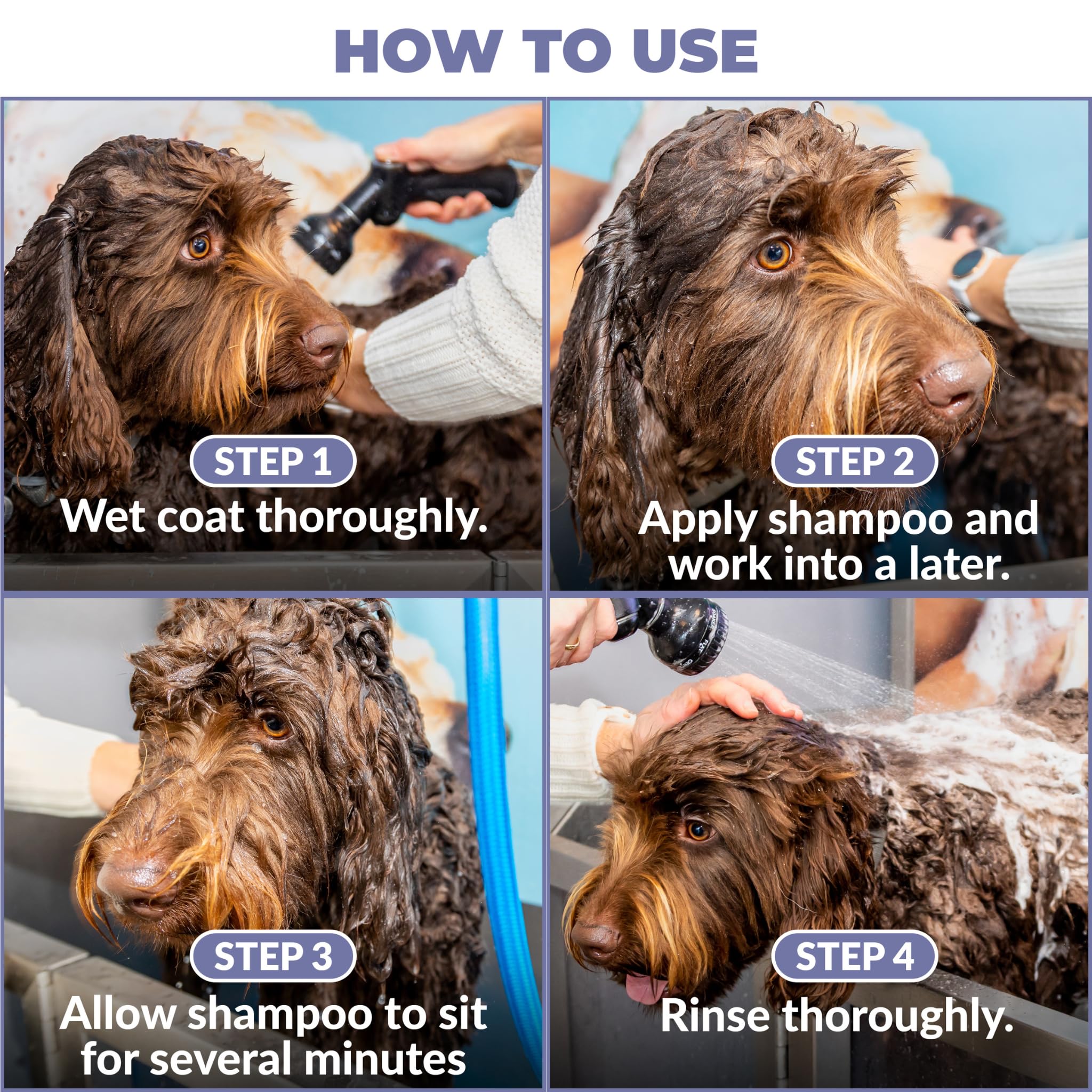 We Love Doodles Shampoo pelo suave y brillo tras el baño
