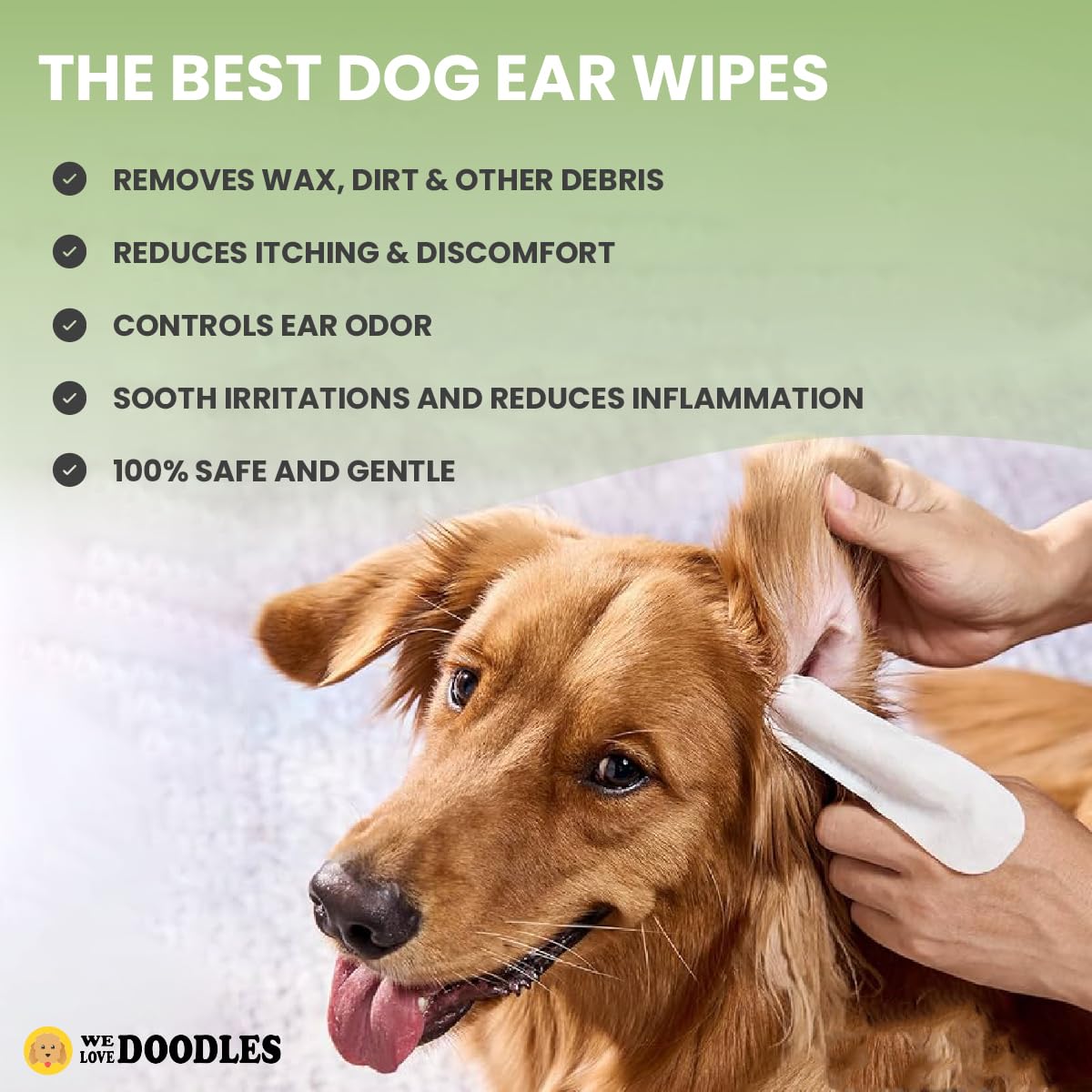 We Love Doodles: uso diario de higiene de orejas para perros