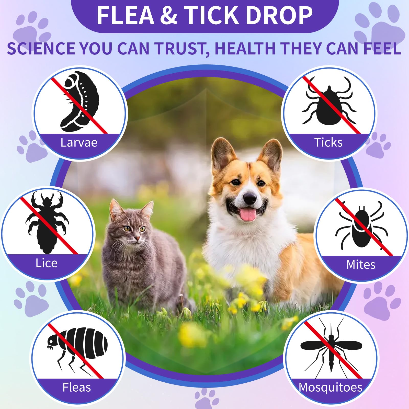 WEALLIN Aplicación fácil, sin olor fuerte, para consentir a tu mascota.