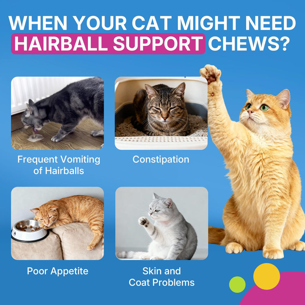WEALLIN-envase-500-golosinas-gatos: envase práctico para hogares con varios felinos.