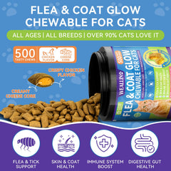 WEALLIN para gatos, chews crujientes sabor pollo, snack diario para toma fácil