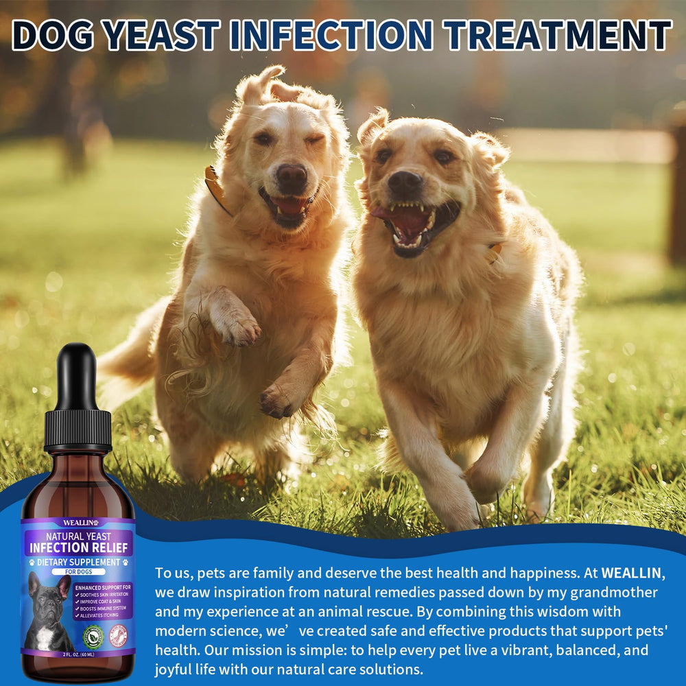 WEALLIN Gotas probióticas para perros, textura líquida de absorción rápida.