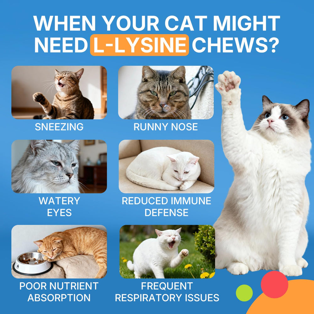 WEALLIN lisina para gatos: piel y pelaje brillantes gracias a omega-3