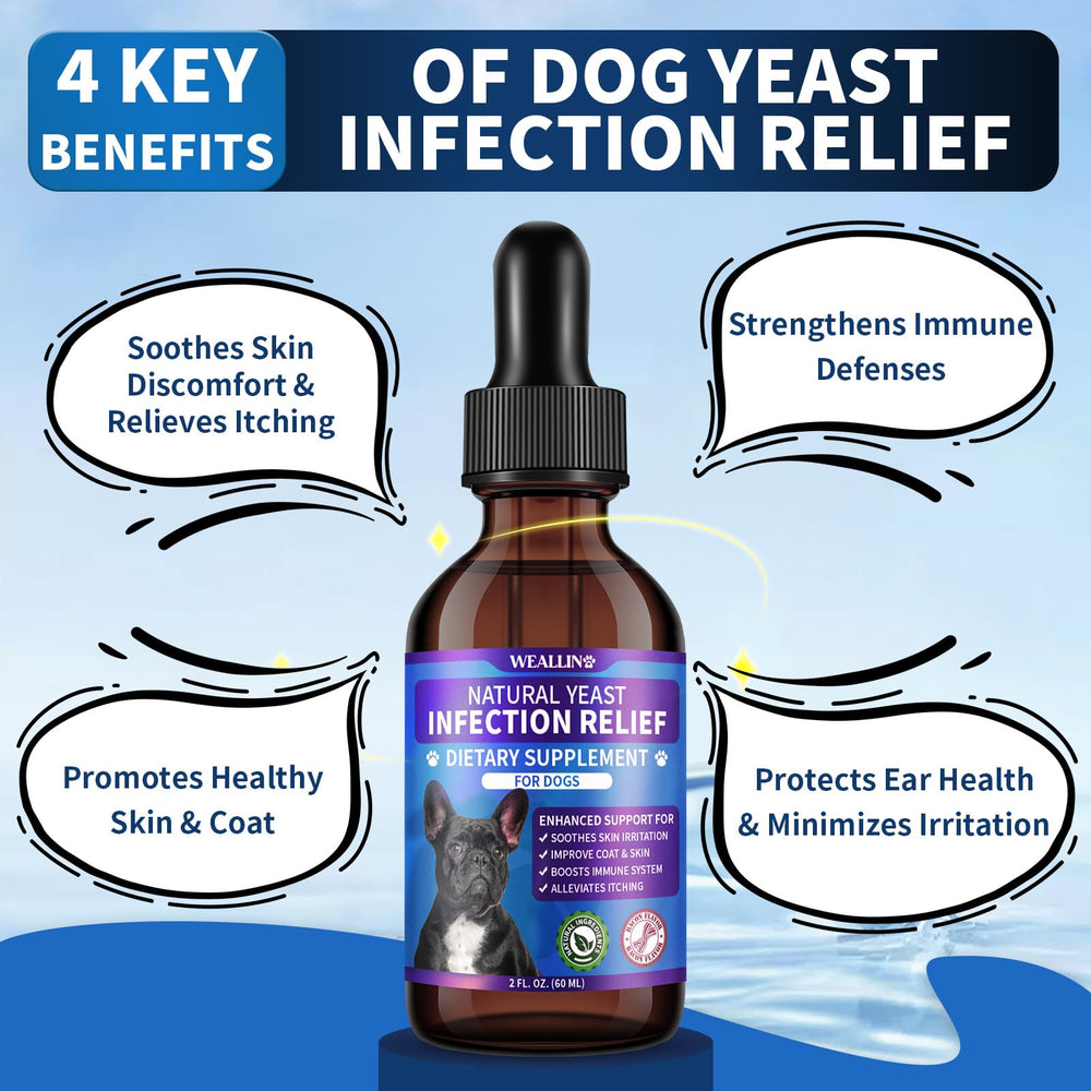 WEALLIN Mezcla de hierbas 8 para perro: aroma natural ofrece bienestar.