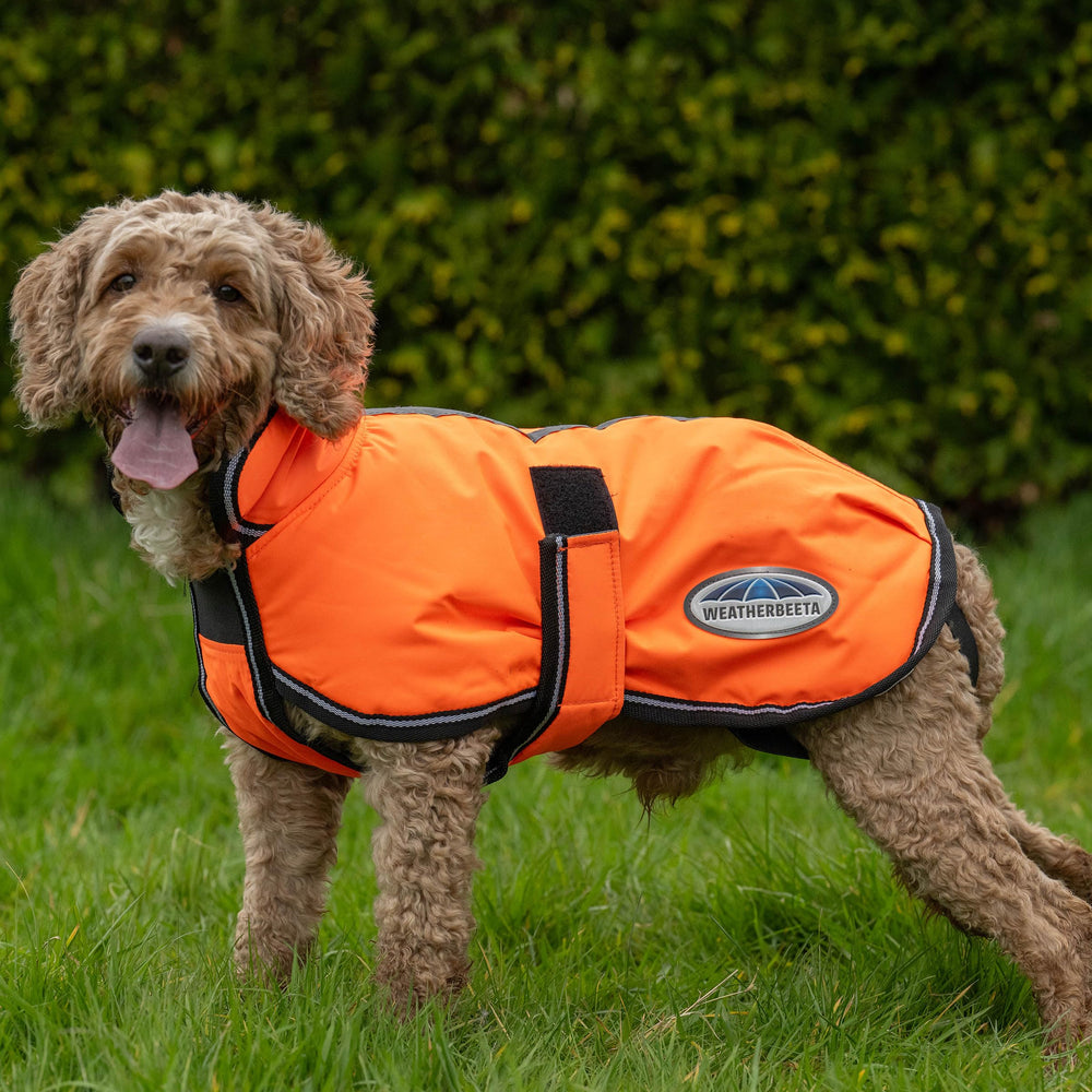 WeatherBeeta ComFiTec Parka, aislamiento de 220 g para climas fríos.