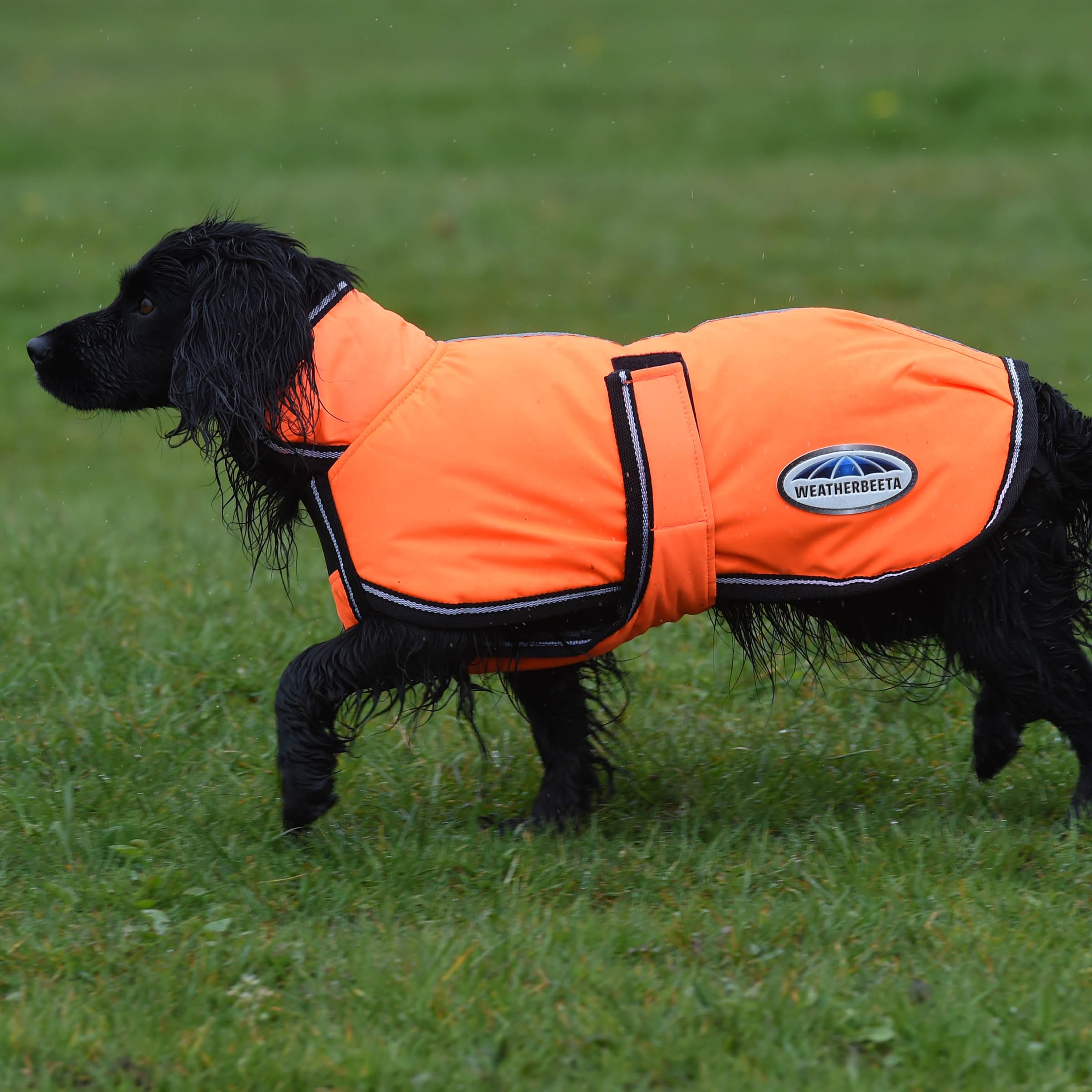 WeatherBeeta Parka exterior 300denier, resistente para climas húmedos.