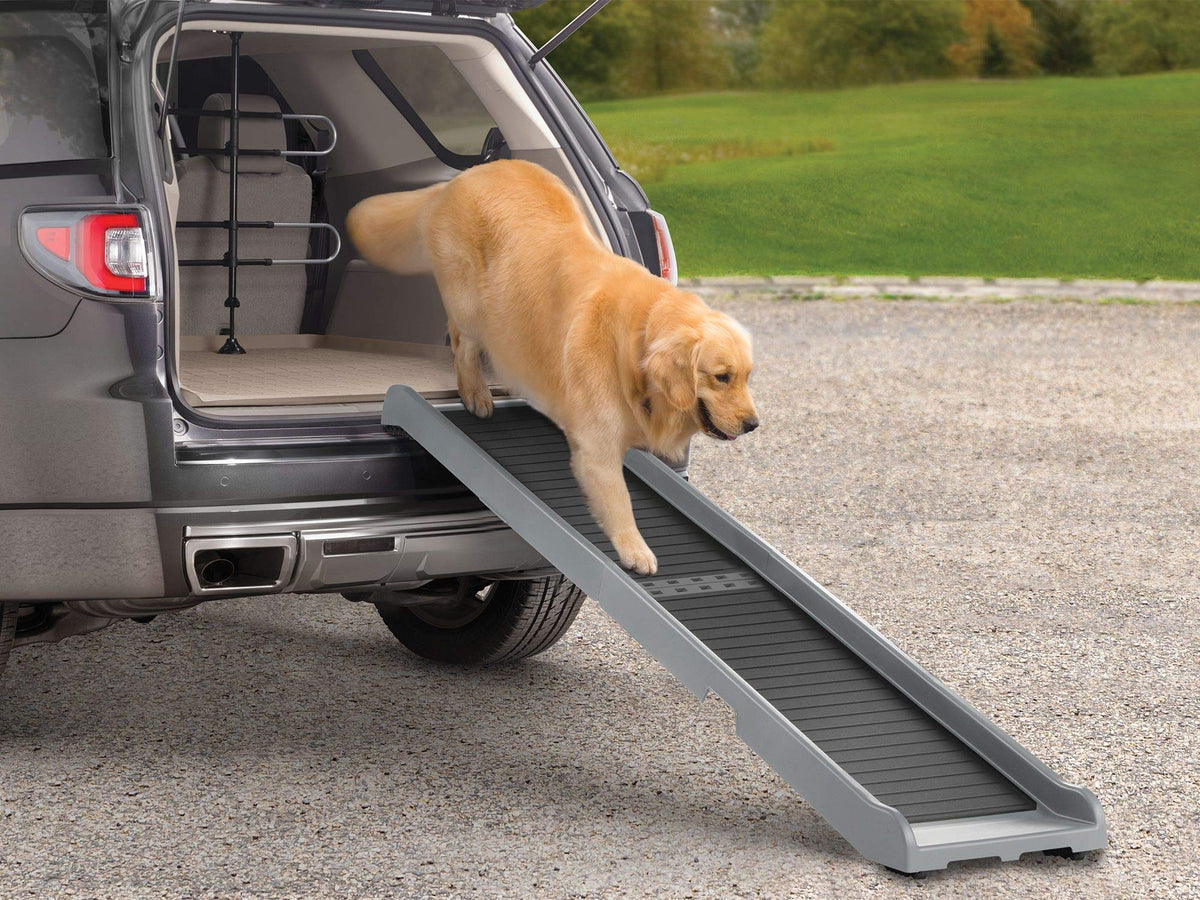 WeatherTech PetRamp, uso en coche, facilita subir perros al vehículo.