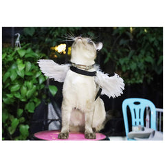 WeeH: disfraz completo para mascota en negro y blanco para fiestas