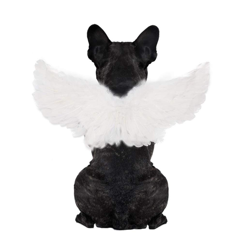 WeeH: ala de ángel blanca en disfraz para mascota, ideal para sesión de Halloween