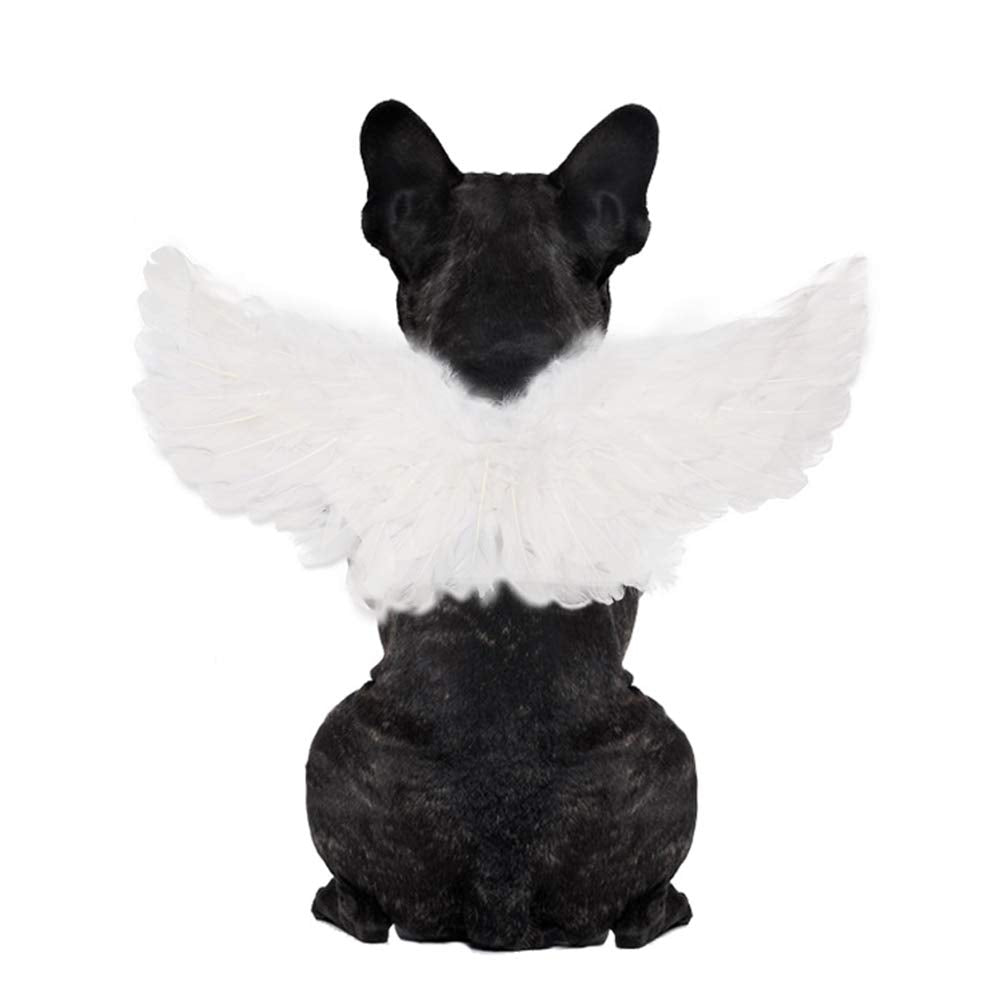 WeeH: ala de ángel blanca en disfraz para mascota, ideal para sesión de Halloween