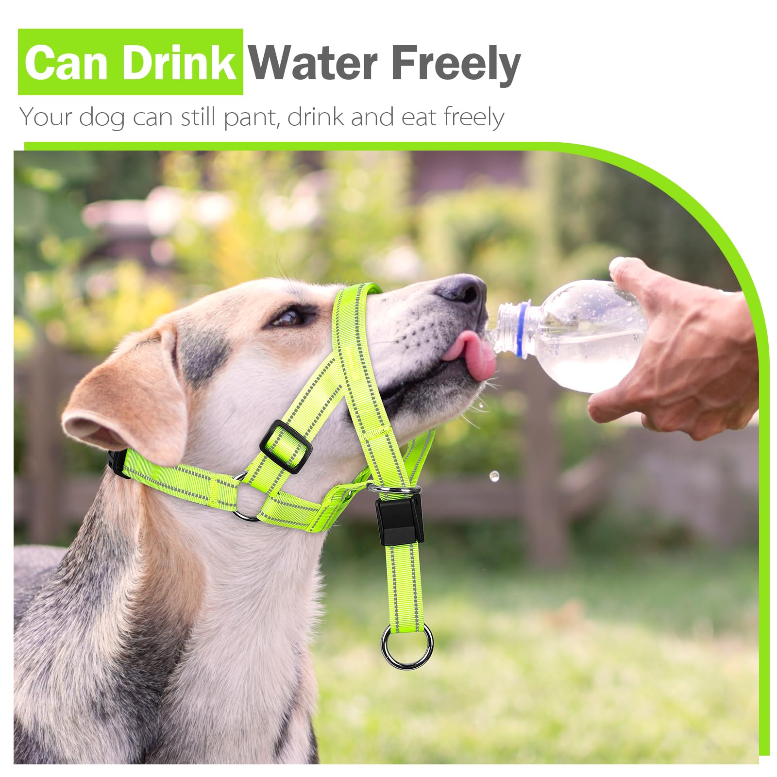 Weesiber collar cabeza perro ideal para caminatas y entrenamiento