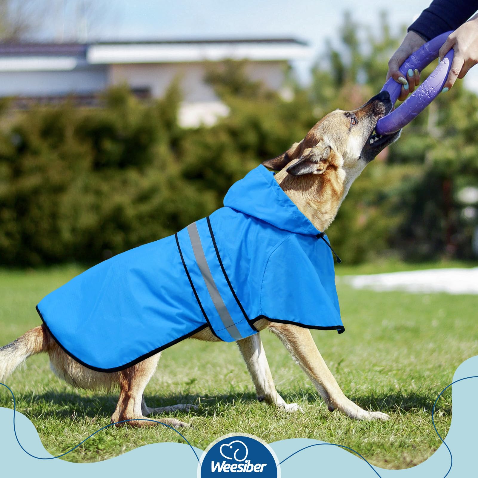 Weesiber chaqueta impermeable mantiene al perro seco incluso bajo chubascos.