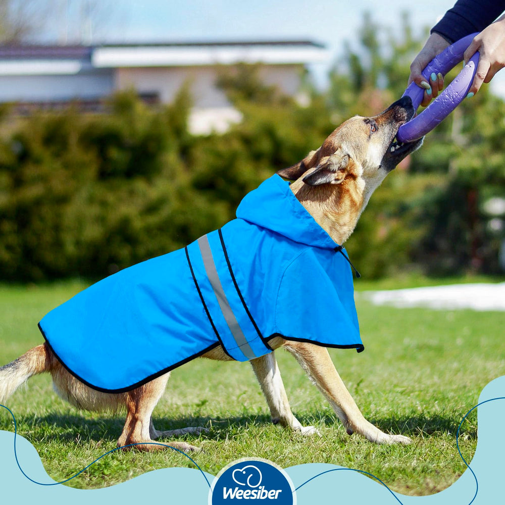 Weesiber chaqueta impermeable mantiene al perro seco incluso bajo chubascos.