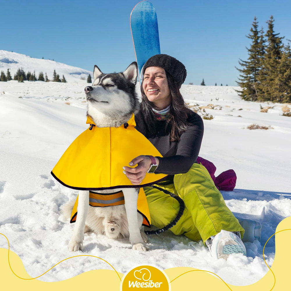 Poncho impermeable Weesiber, diseño llamativo para perros.