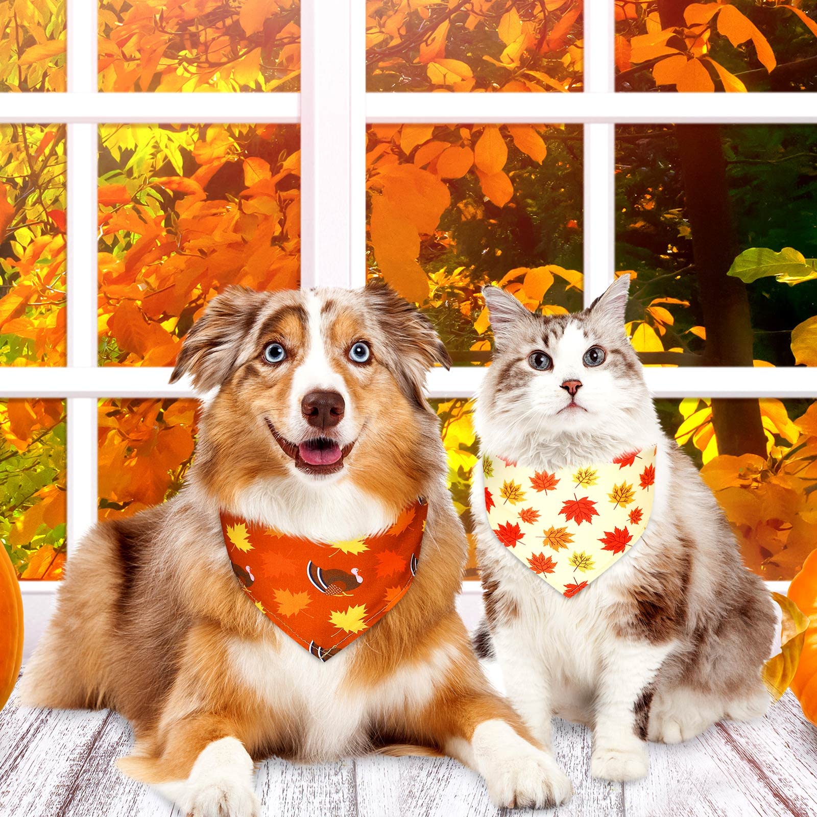 Bandanas Weewooday para múltiples ocasiones, uso diario y fiestas de mascota