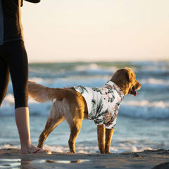 Weewooday camiseta para perro hawaiano piña, añade frescura a los paseos.