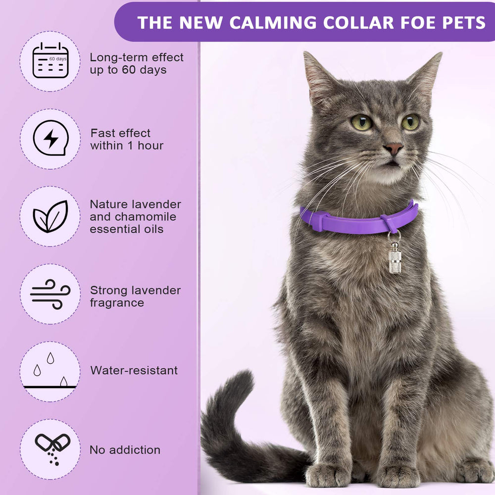 Weewooday collar calmante con aroma suave de lavanda, opción no invasiva para estrés leve