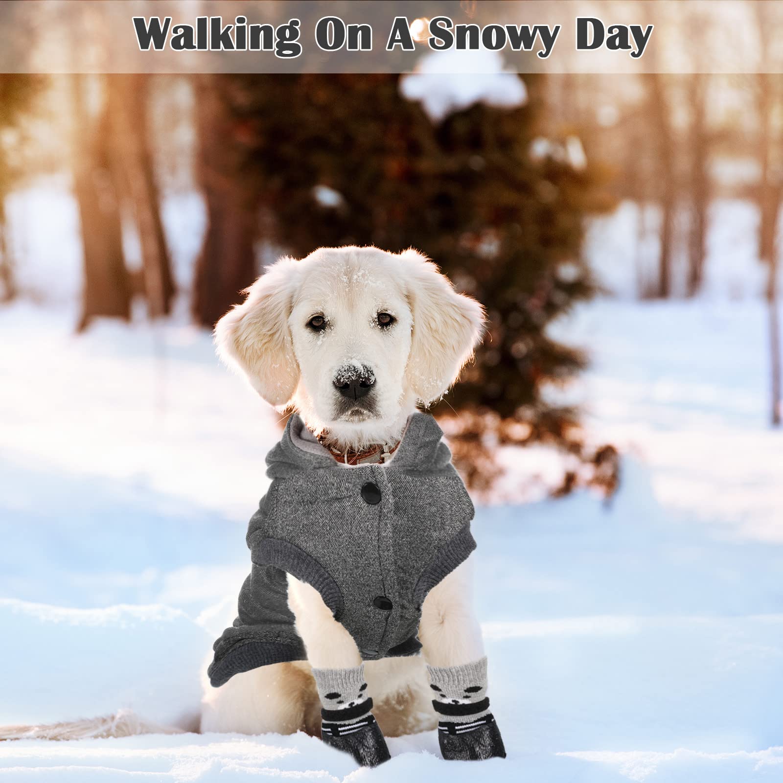 Weewooday conjunto chaqueta y botas para perro: comodidad invernal.