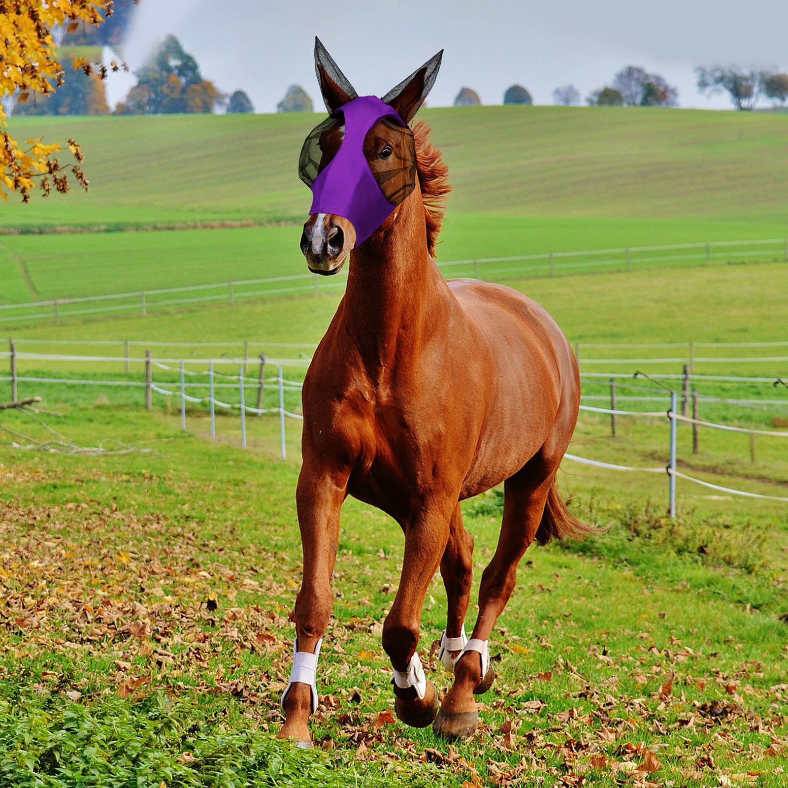 Weewooday máscara para caballos, detalle de malla suave y respirable para comodidad.