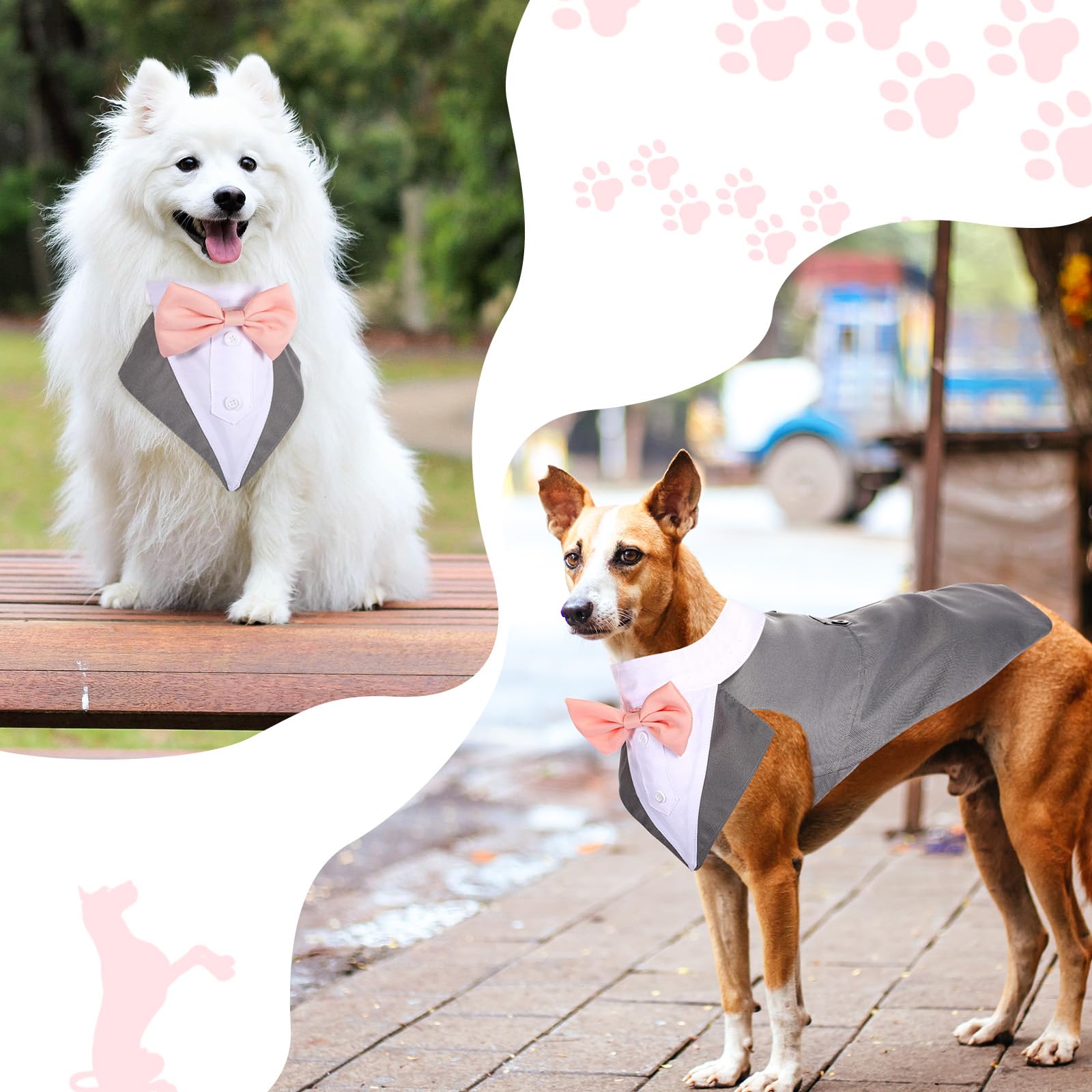 Weewooday perro en boda con conjunto elegante