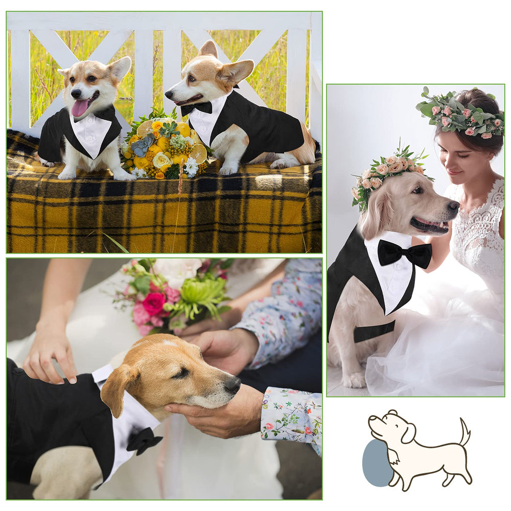 Weewooday esmoquin para perro en evento, apariencia elegante para ocasiones especiales.