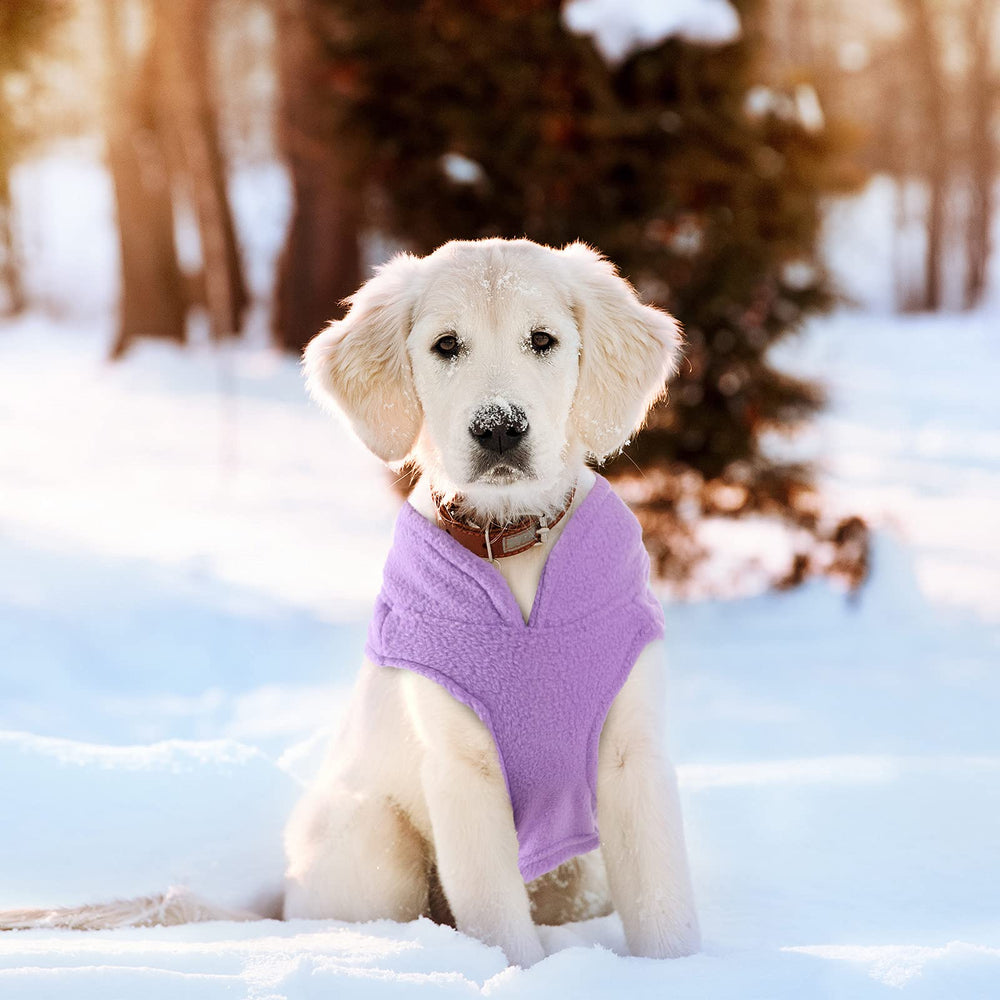Color morado de la sudadera Weewooday para looks elegantes
