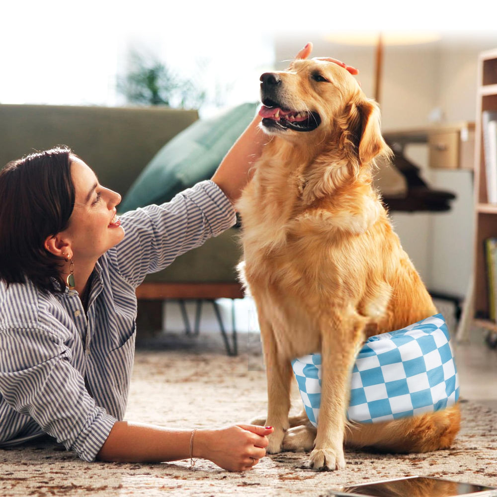 wegreeco ajuste de cintura 15-17 pulgadas, talla exacta para perros medianos.