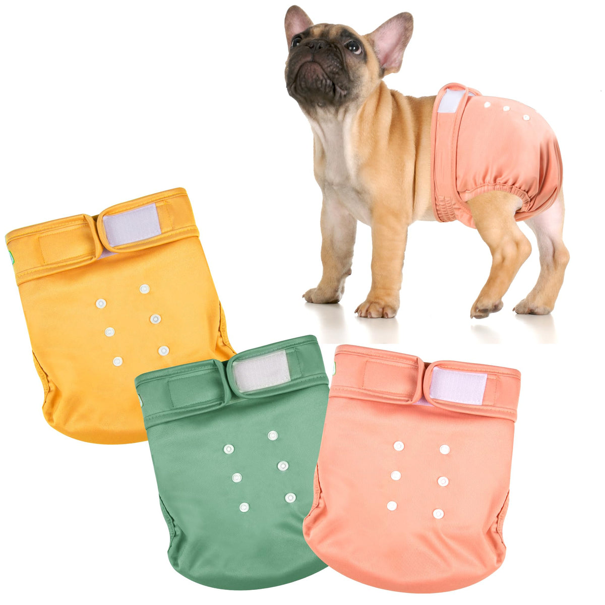 Pañales Wegreeco para Bulldog Francés sin hueco de cola, cómodo.