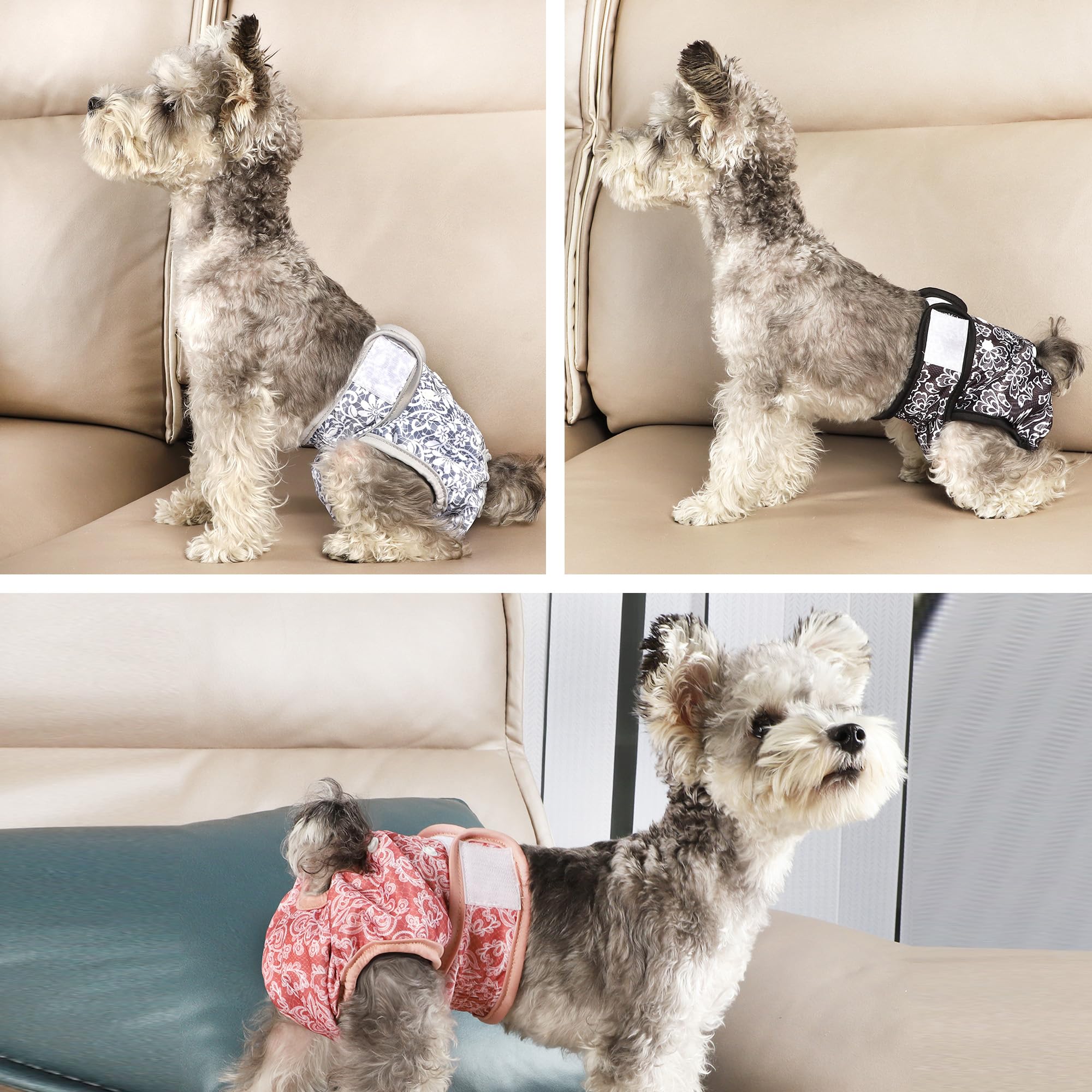 Pañales Wegreeco para perros, exterior resistente a fugas.