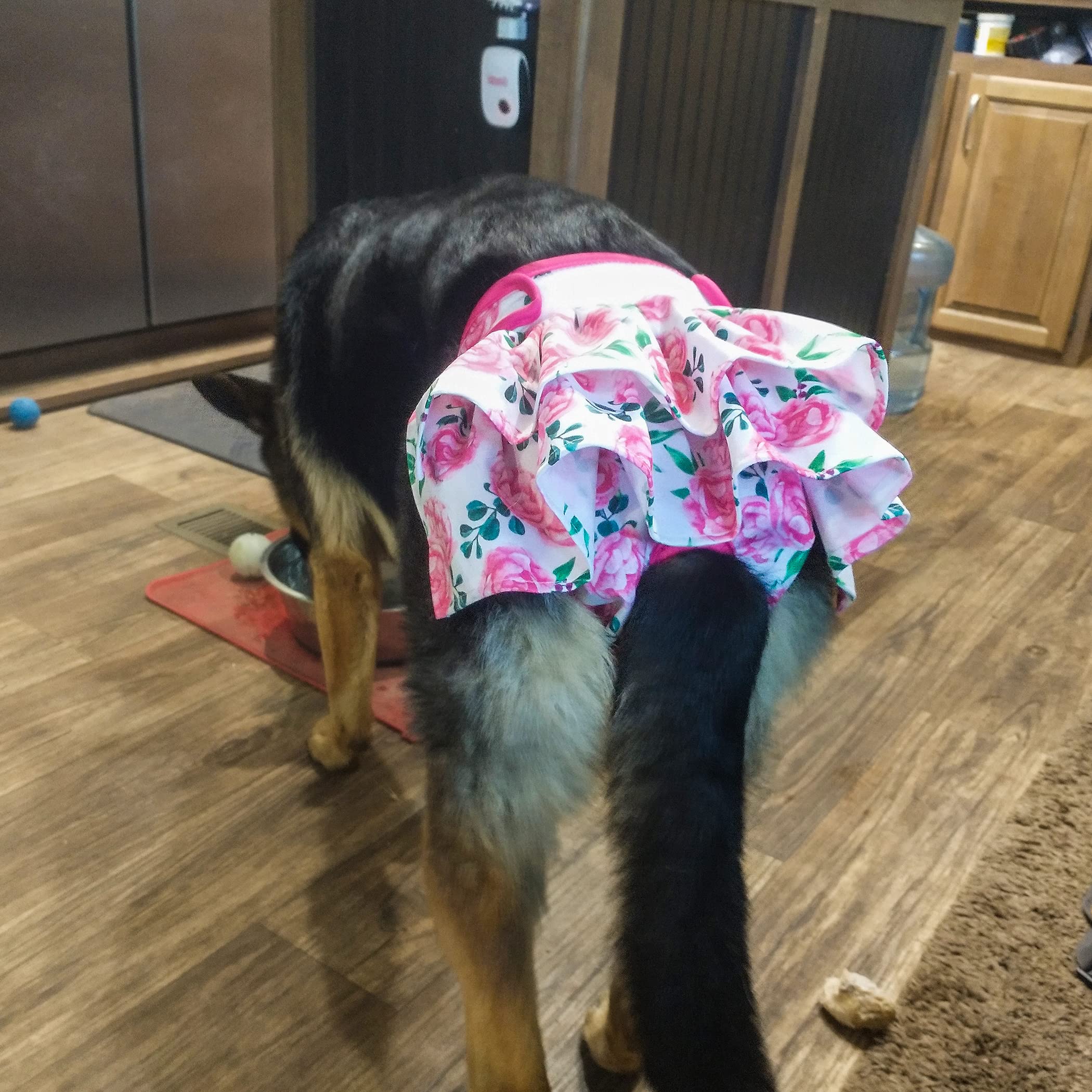 wegreeco pañales para perros durabilidad: reutilizables hasta 300 lavados