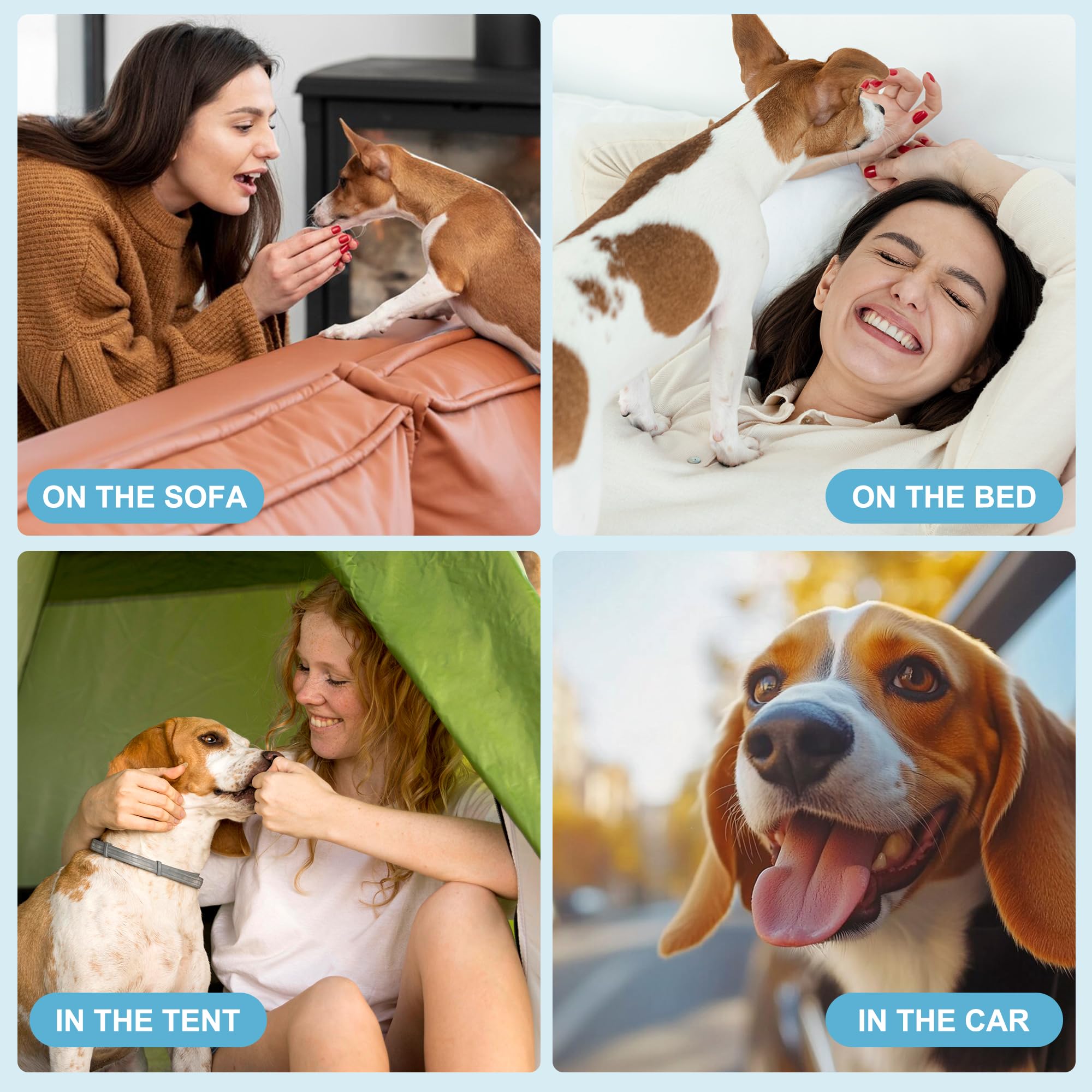 wegreeco paquete de 5 pañales medianos para perro macho, opción práctica y económica.