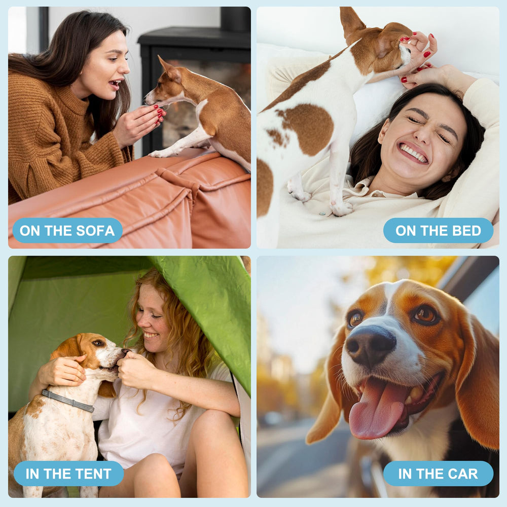 wegreeco paquete de 5 pañales medianos para perro macho, opción práctica y económica.