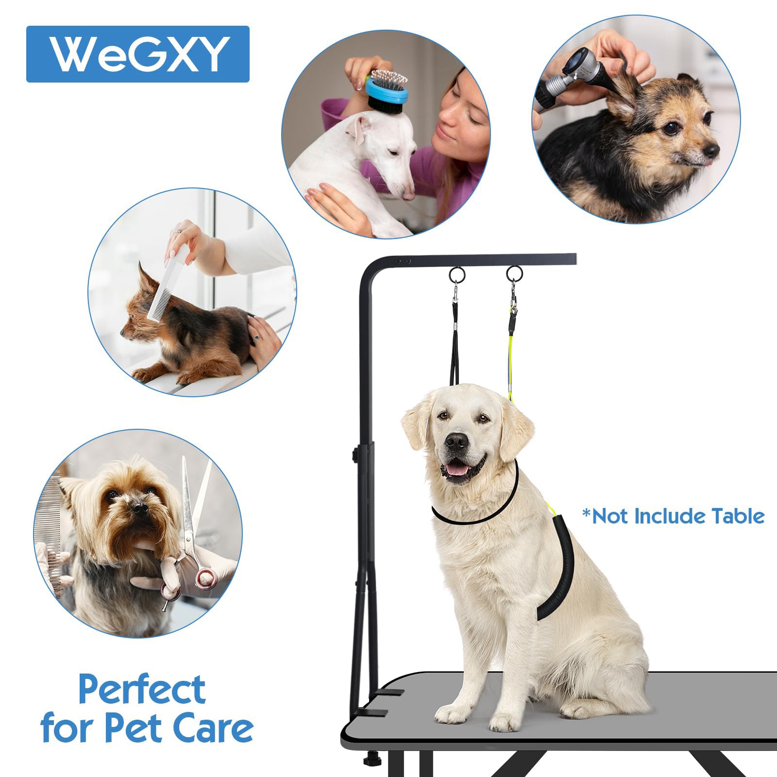 WeGXY accesorios incluidos dos soportes de cadera y anillo de grooming para fijar al perro