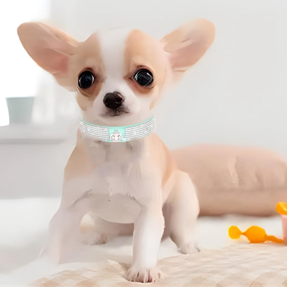 WeimoMonkey collar ajustable para cuellos pequeños, ideal para cachorros
