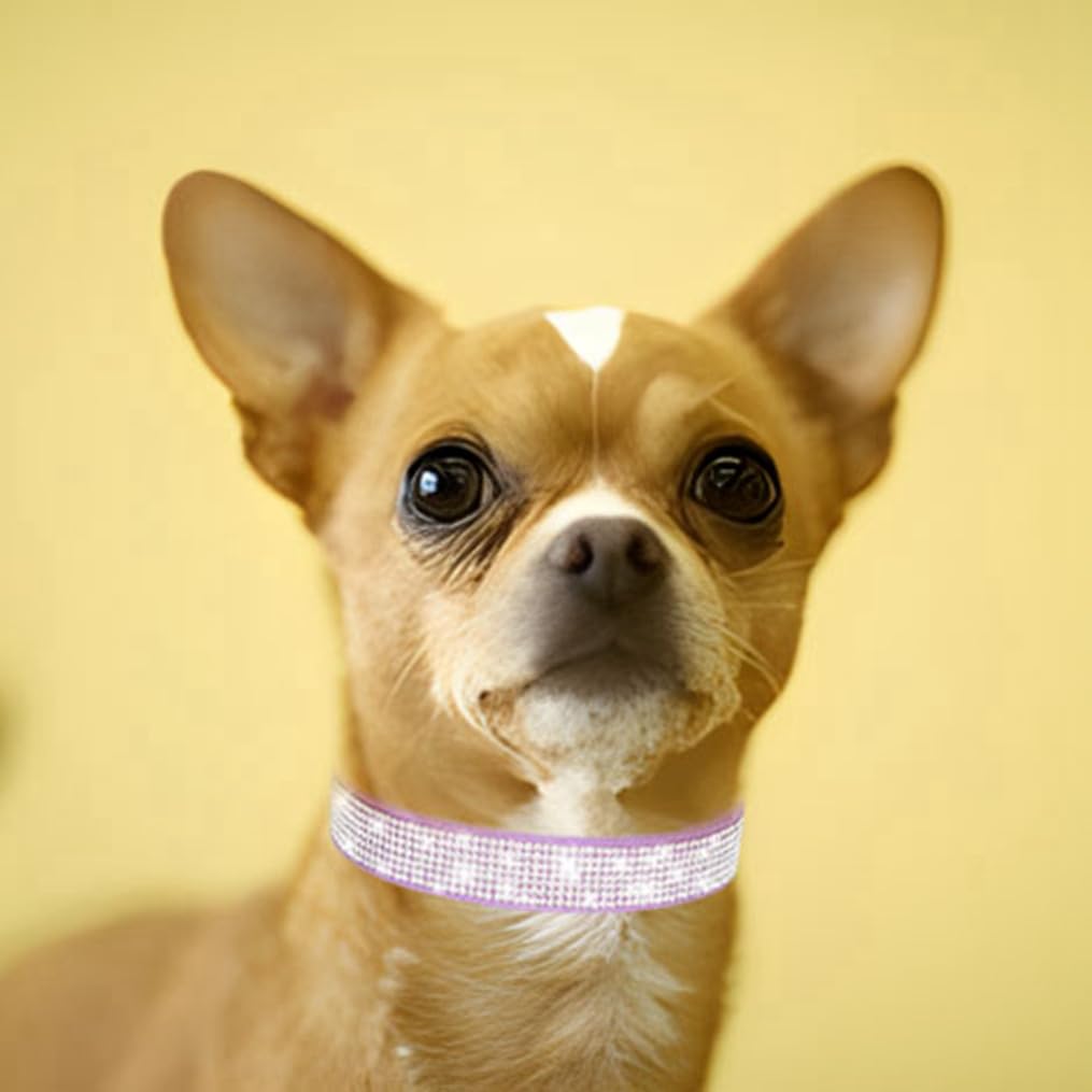 Collar Bling WeimoMonkey para mascota pequeña, brillo deslumbrante para paseos