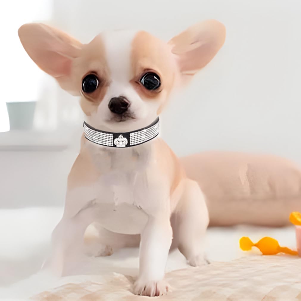 Collar WeimoMonkey con cristales brillantes para momentos especiales en paseos.