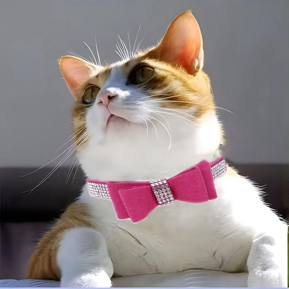 Collar WeimoMonkey con diamantes brillantes para mascota elegante