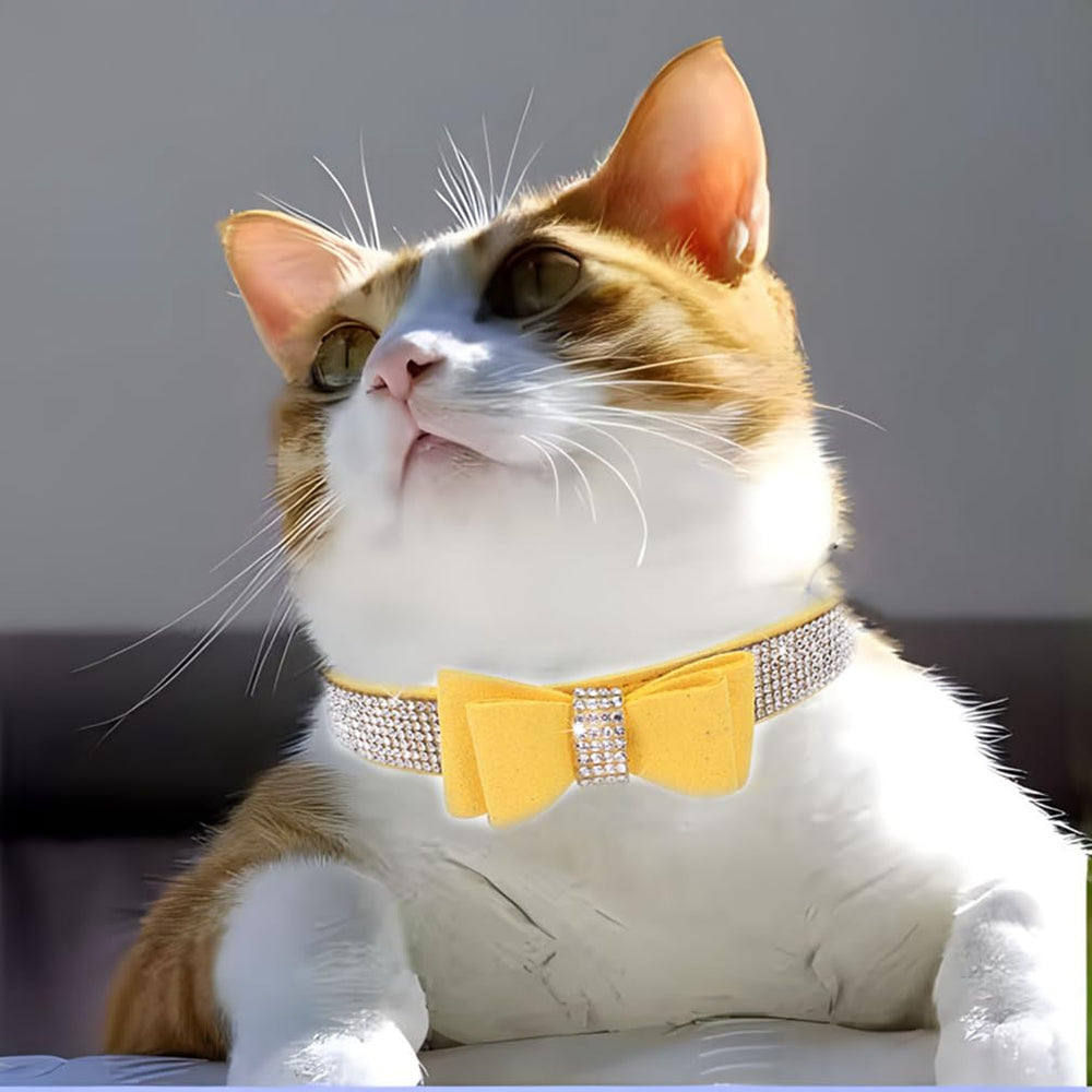 WeimoMonkey collar-mascotas-ajustable-15-52cm, cómodo ajuste diario para perros y gatos pequeños.