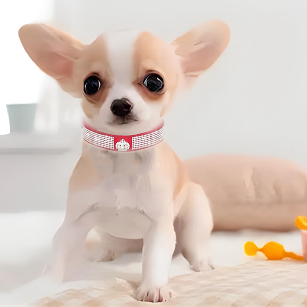 WeimoMonkey collar rojo de gamuza suave para mascotas pequeñas