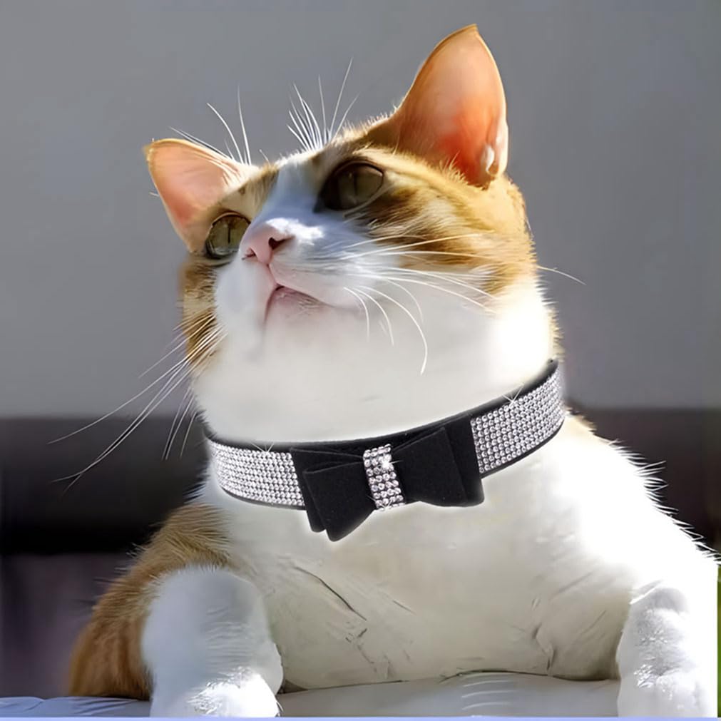 WeimoMonkey collar ajustable de PU suave, perfecto para mascotas activas