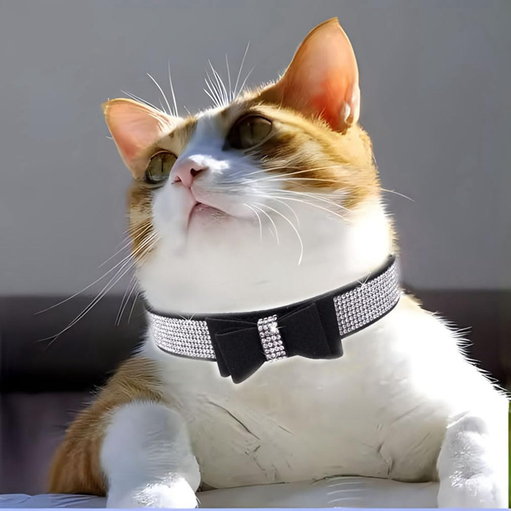 WeimoMonkey collar ajustable de PU suave, perfecto para mascotas activas