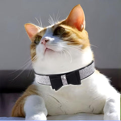 WeimoMonkey collar ajustable de PU suave, perfecto para mascotas activas