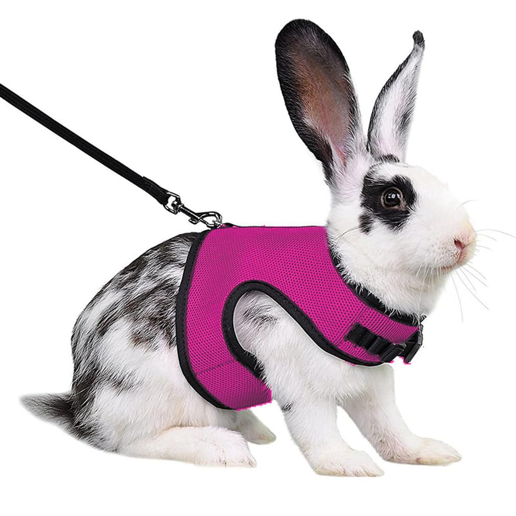 WeimoMonkey malla rosa con arnés, detalles suaves para entrenamiento y paseo.