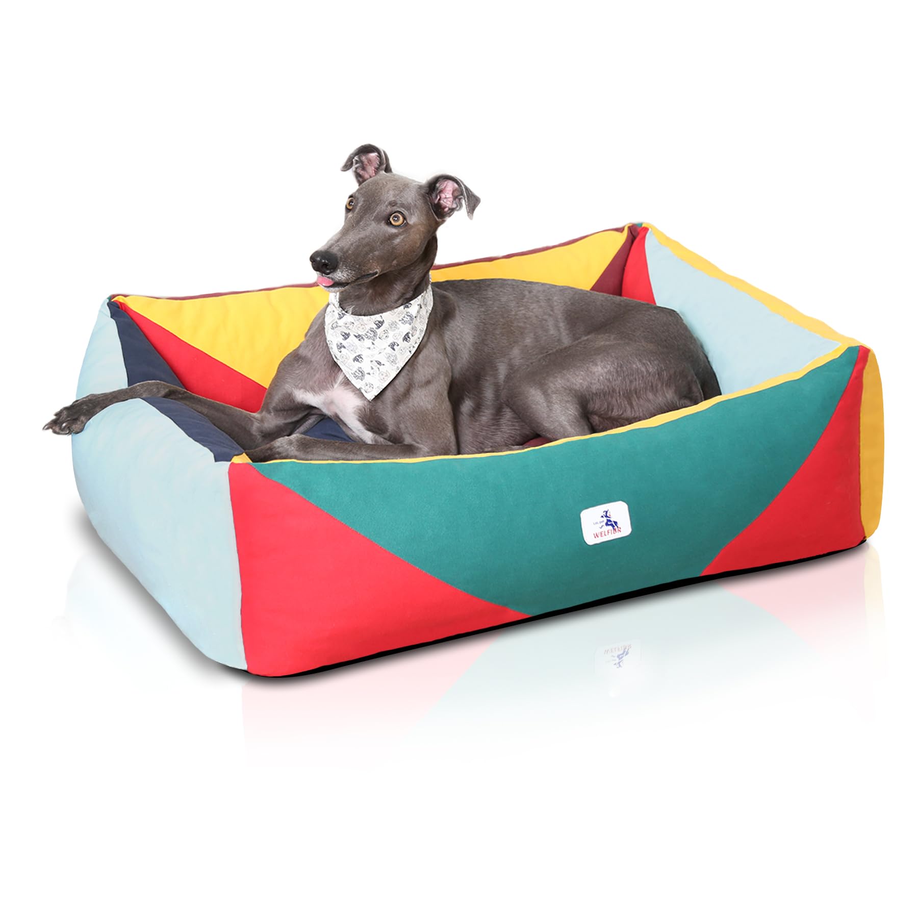 Cama ortopédica Welfibr XL alta para un descanso cómodo y seguro.