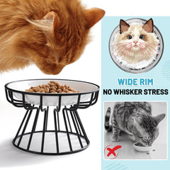 Wellbro comedero elevado para gatos, cerámica de 15 cm para comodidad.
