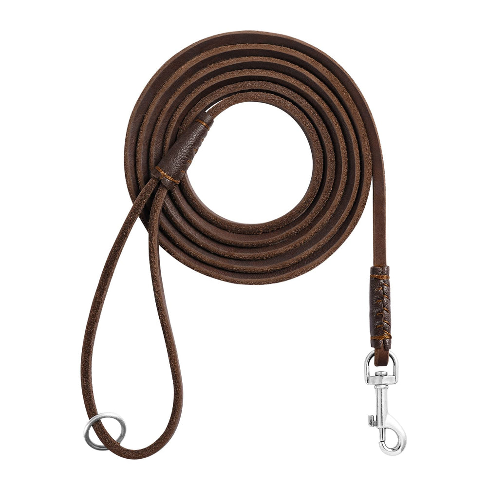 Wellbro correa de cuero genuino 6 ft delgada para perros pequeños y paseos confortables.
