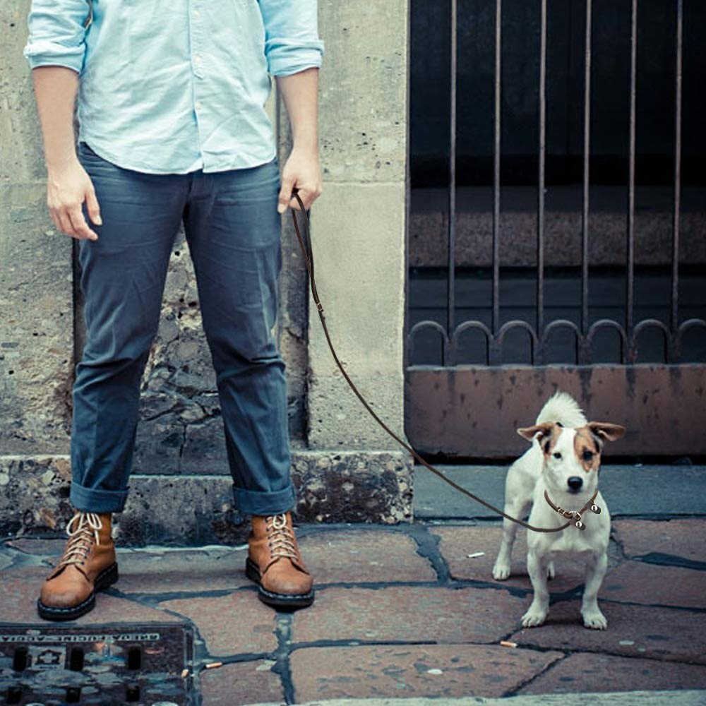 Wellbro ideal para cachorros y perros pequeños, perfecto para entrenamiento suave.