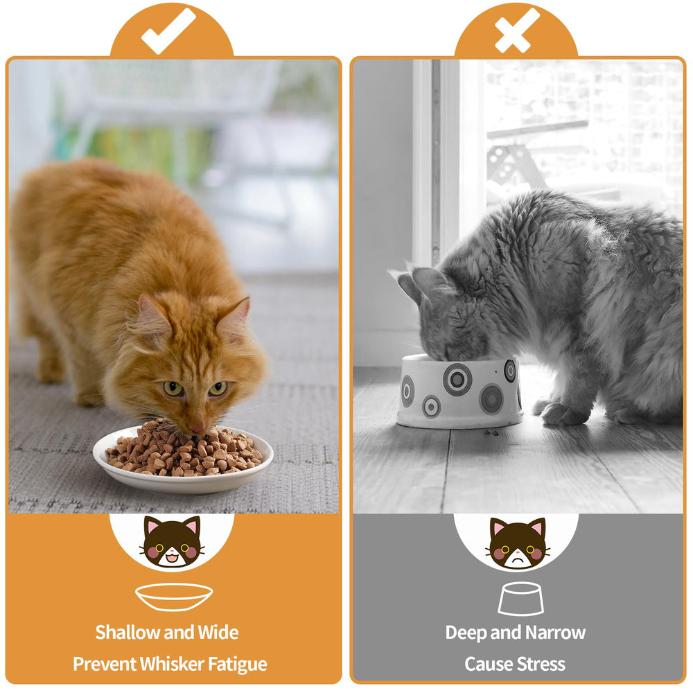 Wellbro cuencos fáciles de limpiar para gatos y mantenimiento sencillo.